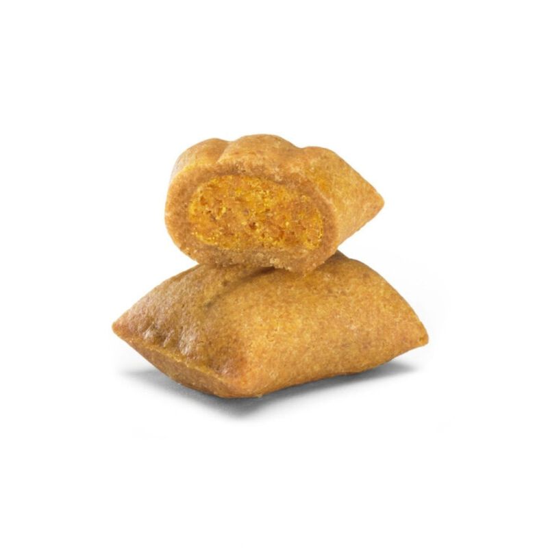 Doggyebag Doggyebreak Biscotti con Salmone Zucca e Carote 180 gr