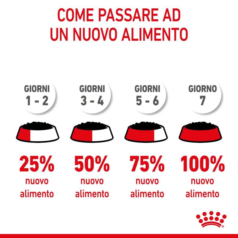 Royal Canin Dog Mini Puppy 85 gr
