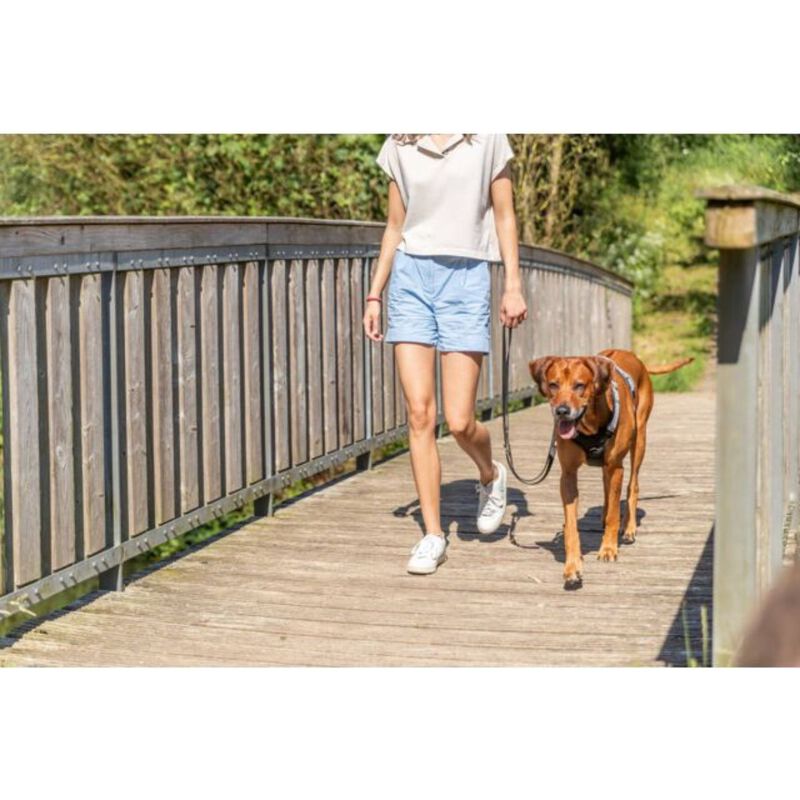 Trixie Pettorina Active Color Salvia Tg M