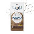 Forza10 Active Vet Diet Dog Adult Intestinal Colon Fase 1 Agnello e sorgo bianco 10 kg image number 0
