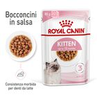 Royal Canin Kitten in Salsa 85 gr