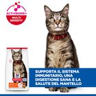 Hill's Science Plan Cat Adult con Agnello 7 kg