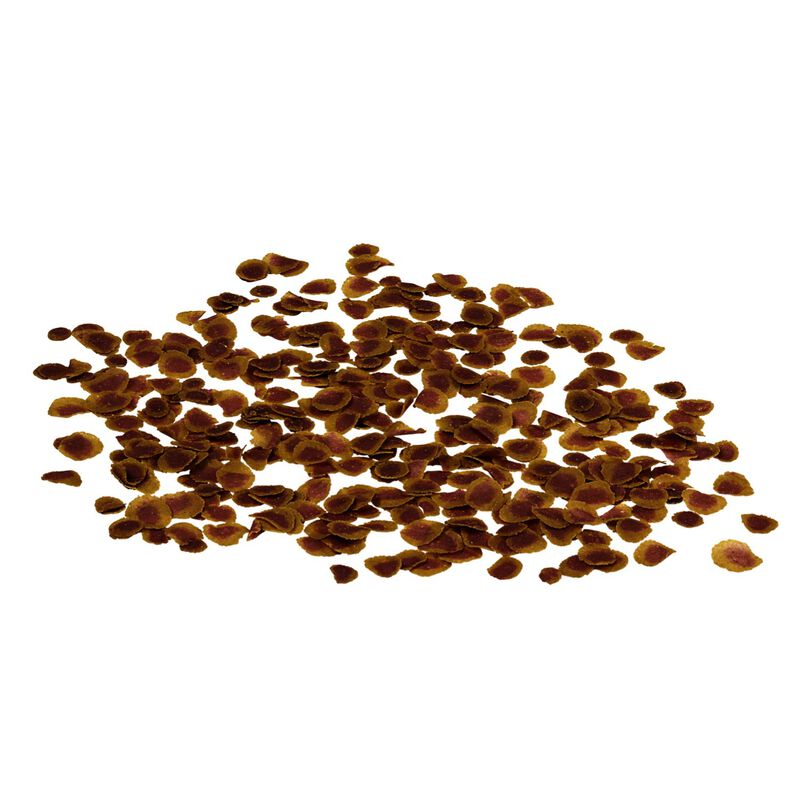 Tetra Pro Colour 100 ml