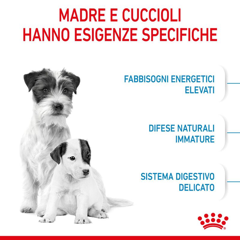 Royal Canin Dog Mini Starter 1 kg