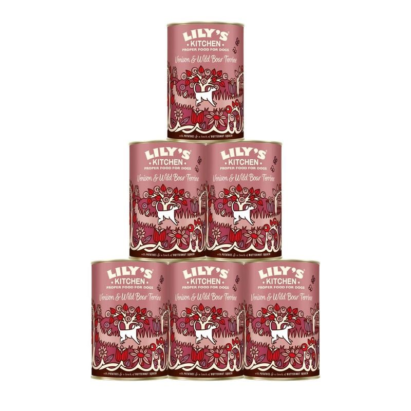 Lily's Kitchen Dog Adult Venison Wild Boar Terrine con Patate Zucca e Fagioli Verdi 400 gr