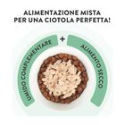 Schesir Cat Tonnetto con Zucca in Jelly 70 gr