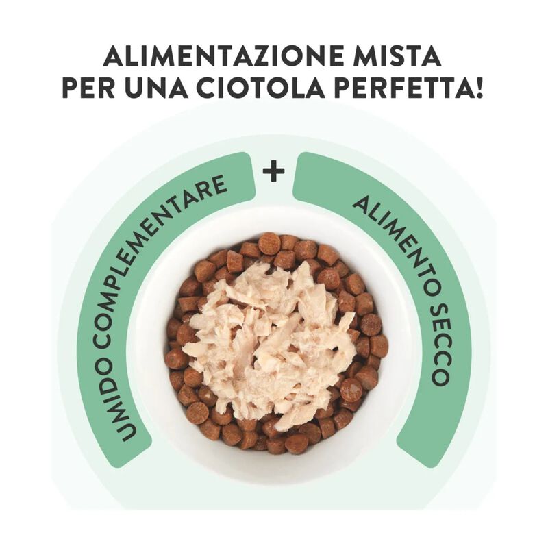 Schesir Cat Tonnetto con Zucca in Jelly 70 gr