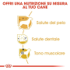 Royal Canin Barboncino Dog Adult e Senior 500 gr