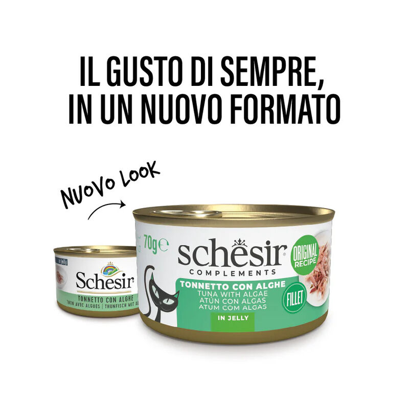 Schesir Cat Jelly Tonnetto con Alghe 70g