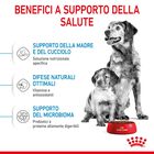 Royal Canin Dog Medium Starter Mother & Babydog 4 kg