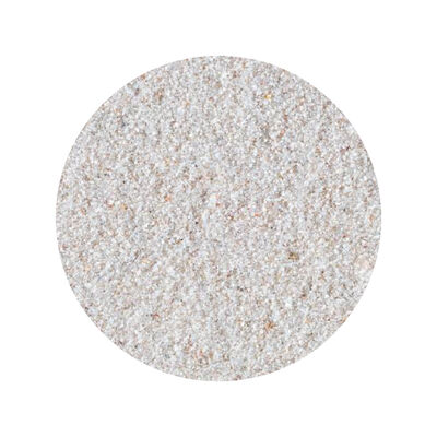 Camillo Repta Passion ReptoSand Sabbia per terrari bianca 5 kg