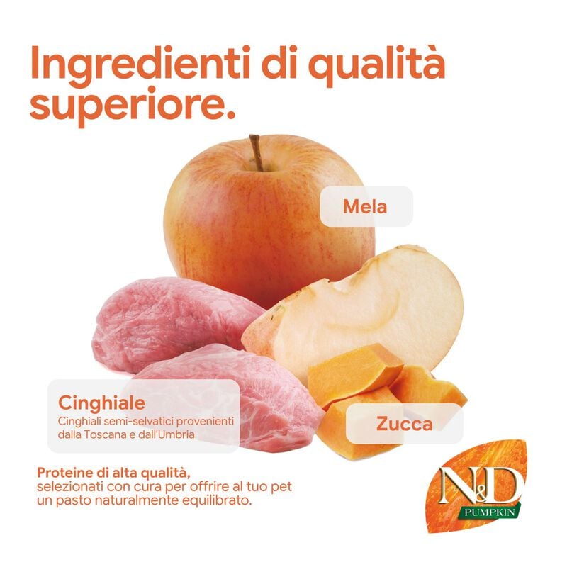 N&D Farmina Pumpkin Dog Adult Medium & Maxi Cinghiale e Mela 12 kg