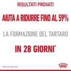 Royal Canin Cat Adult Dental Care 400 gr