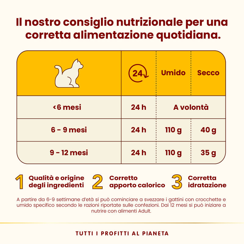 Almo Nature HFC Complete Kitten con Pollo 55g