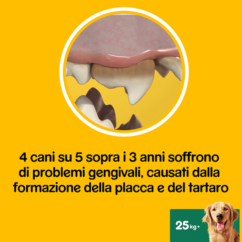Pedigree Dentastix Daily fresh Dog Large 154x4 pz