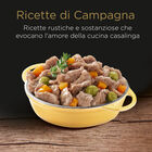 Cesar Dog Ricette di Campagna con Pollo e Verdure in Salsa 150 gr