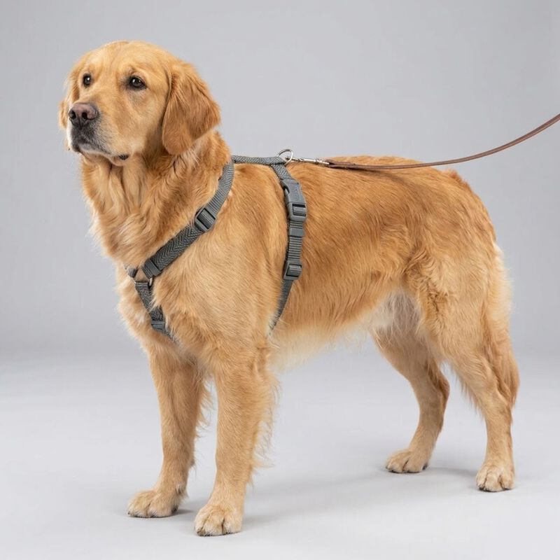Trixie Premium Pettorina ad H Color Grigio Tg M-L