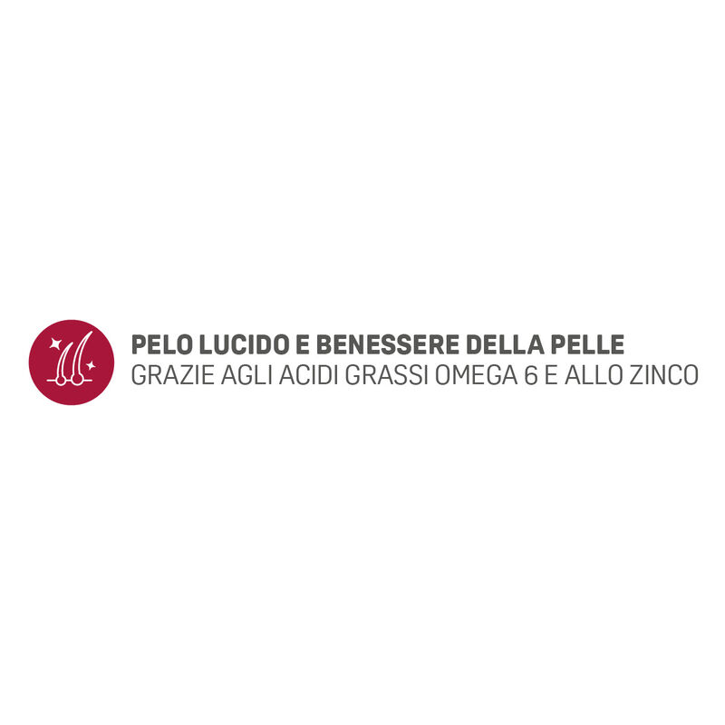 Natural Trainer Cat Adult con Manzo 1,5 kg