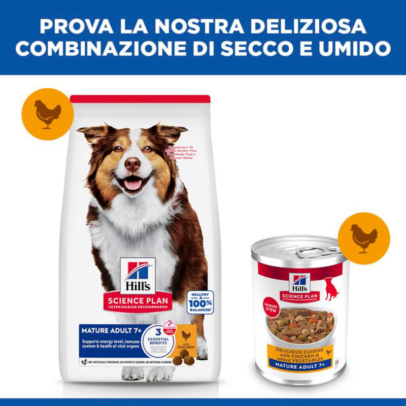 Hill's Science Plan Spezzatino per cani anziani Pollo e verdure 363 gr