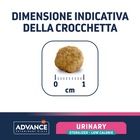 Advance Veterinary Diets Cat Sterilized Urinary Low Calorie 1,25 kg