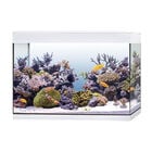 Askoll Pure Marine XL HC Led Bianco image number 0