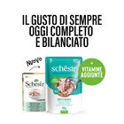 Schesir Cat Tonnetto con Orata 85 gr