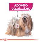 Royal Canin Dog Mini Adult e Senior Exigent 1 kg