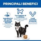 Hill's Science Plan Sterilised Mature Adult Mousse per gatti Pollo 85 gr