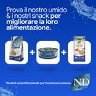 N&D Farmina Ocean Kitten Merluzzo, Gamberetti, Zucca e Cantalupo 300 gr