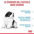 Royal Canin Dog Giant Puppy 15 kg