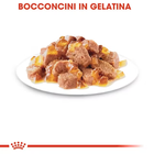 Royal Canin Cat Adult Instinctive Jelly 85 gr