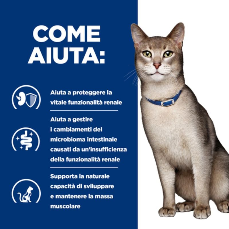 Hill's Prescription Diet Cat k/d Kidney Care Renal con Salmone 85 gr