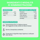 Schesir Cat Jelly Tonnetto con Ricciola 70g