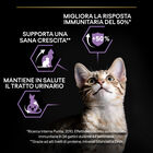 Purina Pro Plan Healthy Start Cat Kitten 1-12 mesi Pollo 400 gr