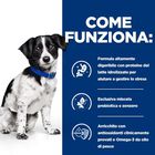 Hill's Prescription Diet Dog i/d Stress Mini 6kg