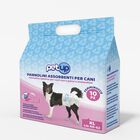 Petup Pannolini assorbenti per cani femmine Taglia XL 10 pz