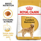 Royal Canin Dog Adult Golden Retriver 3 kg - Scad. Dicembre 25