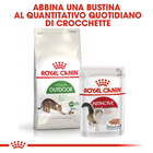 Royal Canin Cat Adult Outdoor 2 kg