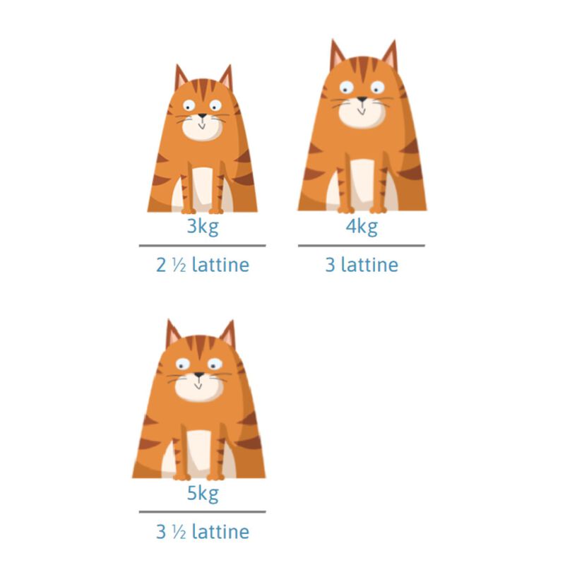 Petreet Vellutate Cat Sterilized Pollo con zucca 70 gr sA45