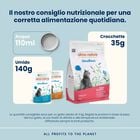 Almo Nature Holistic Sterilised Cat Adult con Salmone 2 kg