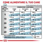 Royal Canin Veterinary Diet Dog Hypoallergenic 2 kg