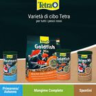 Tetra Pond Goldfish Mix 1 lt