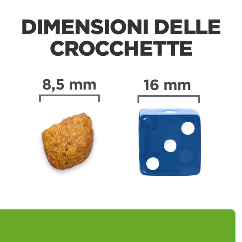 Hill's Prescription Diet Crocchette per gatti adulti con Pollo 1,5 kg
