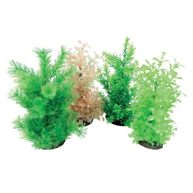 Zolux Aeroplant Diffusore Verde L