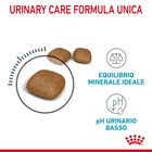 Royal Canin Cat Adult Urinary Care 400 gr