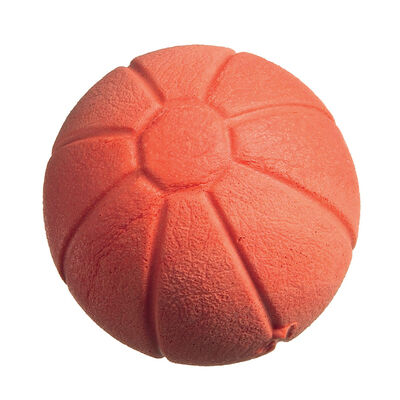 Camon gioco cane pallina in gomma colorata mm 50