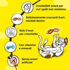 Catisfactions Variety Box Snack gusti assortiti 12x60 gr