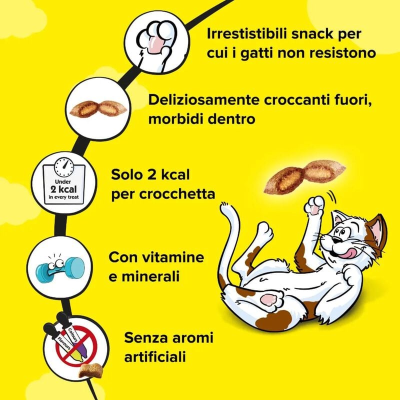 Catisfactions Variety Box Snack gusti assortiti 12x60 gr