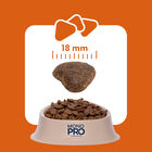 Monopro Dog Adult Medium&Large Grain Free Anatra 3 kg