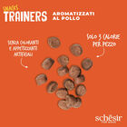 Schesir Dog Adult Snacks Trainers al Pollo 283 gr - Scad. Dicembre 25